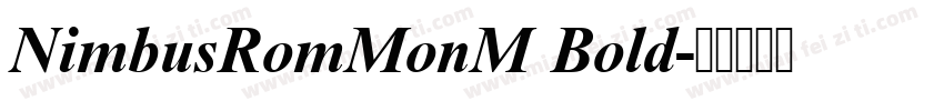 NimbusRomMonM Bold字体转换